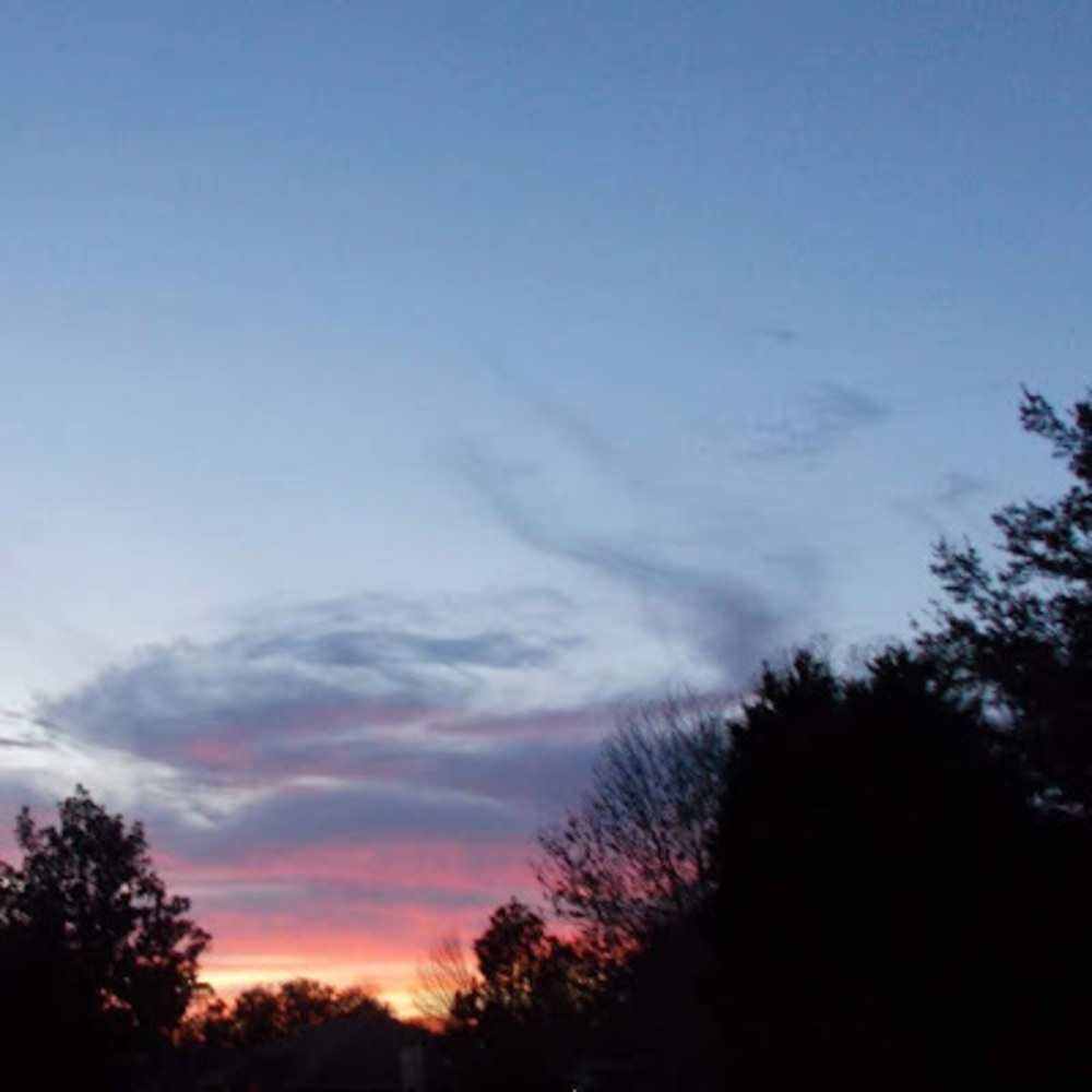 Meet your Posher, Coral